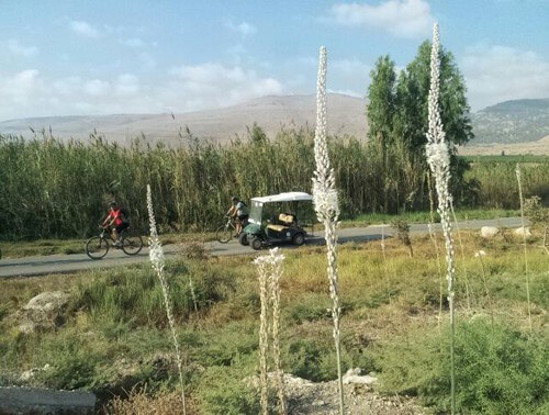 פארק המעיינות